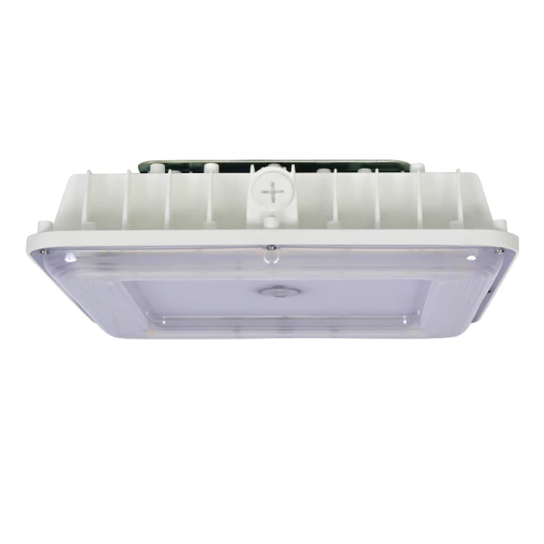 Leds de llaunes