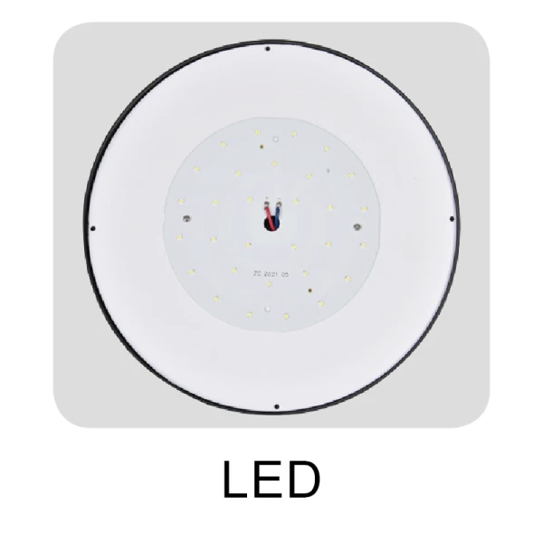 Solar Motion Sensor Light